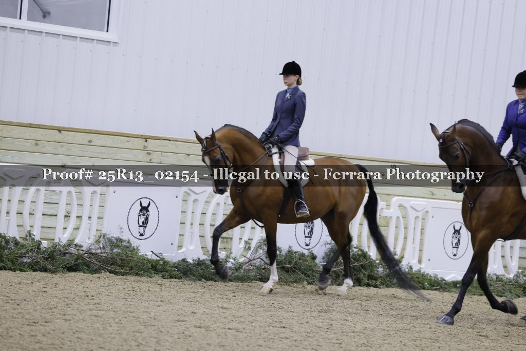 Proof Number 25R13_02154