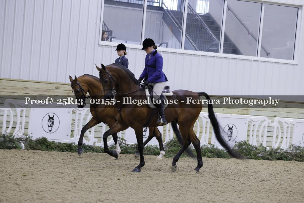 Proof Number 25R13_02155