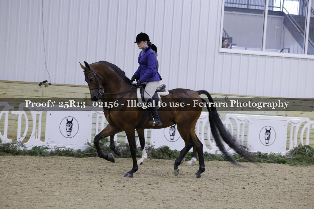 Proof Number 25R13_02156