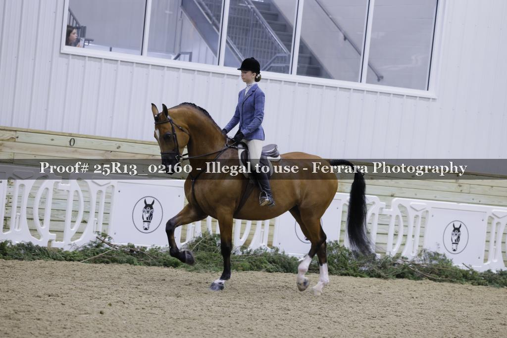Proof Number 25R13_02160