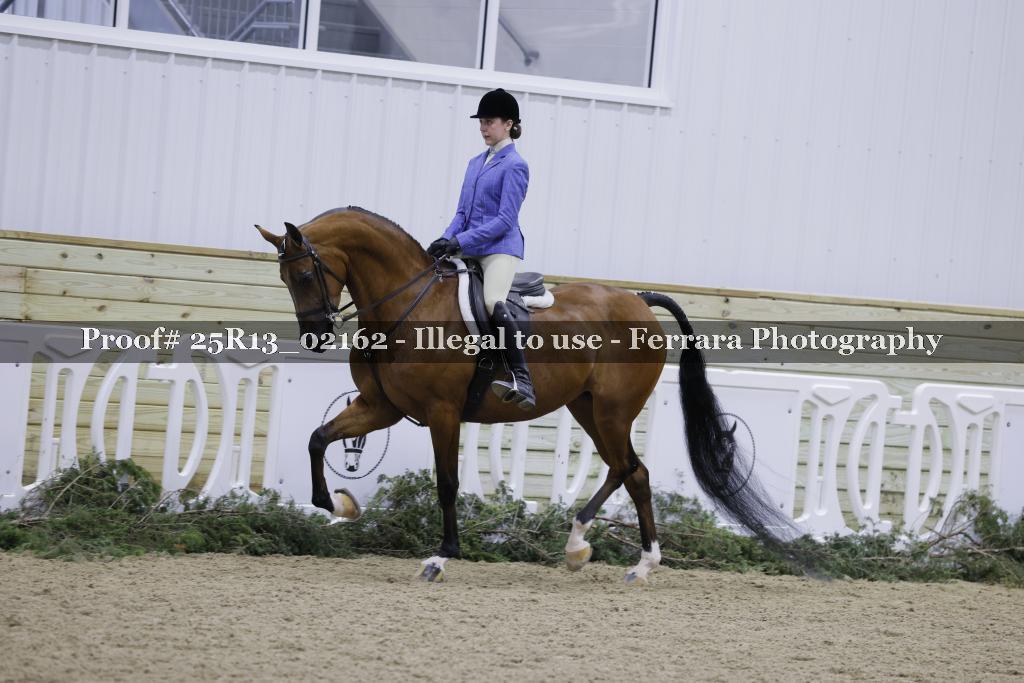 Proof Number 25R13_02162