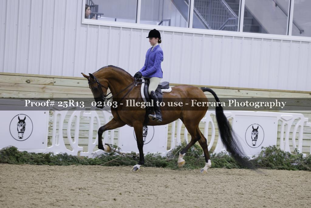Proof Number 25R13_02163