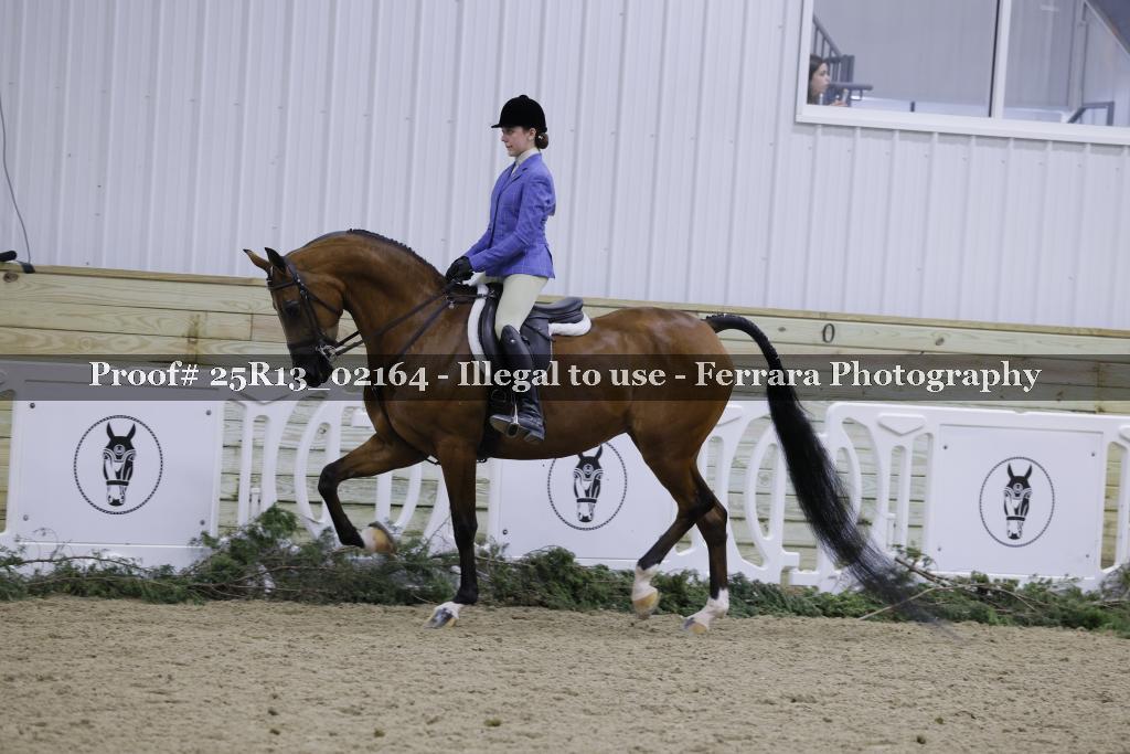 Proof Number 25R13_02164