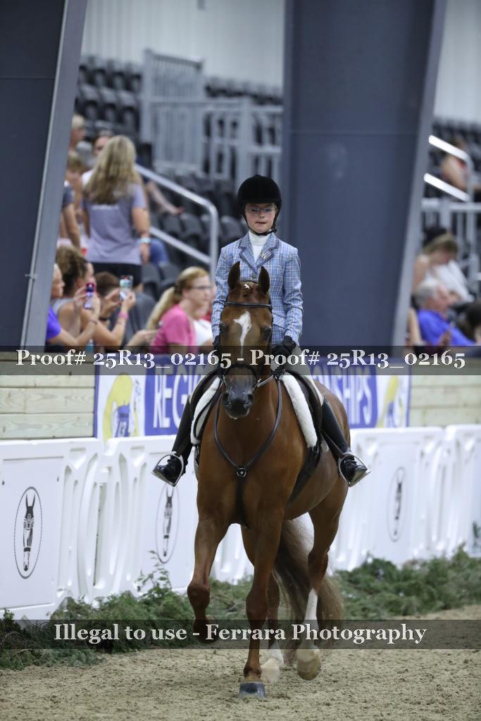 Proof Number 25R13_02165