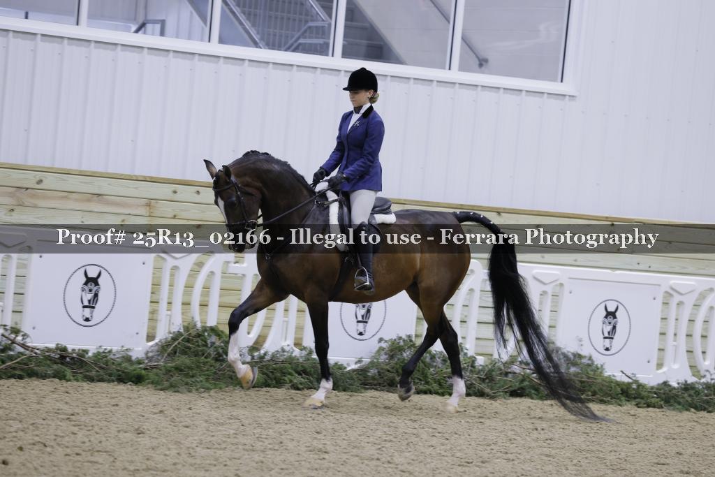 Proof Number 25R13_02166