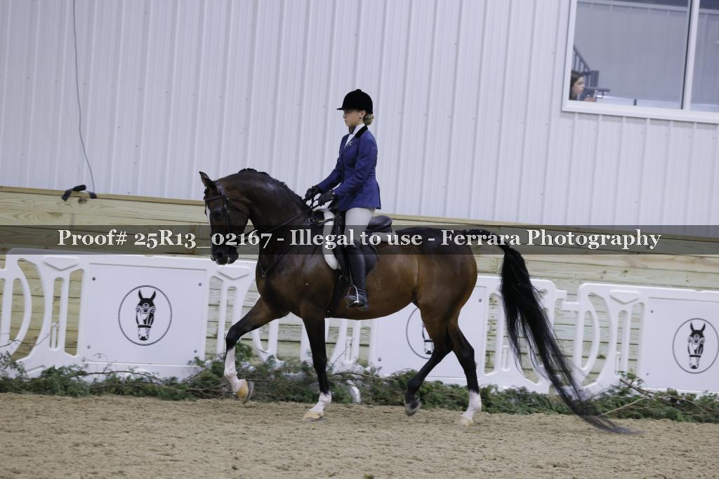 Proof Number 25R13_02167