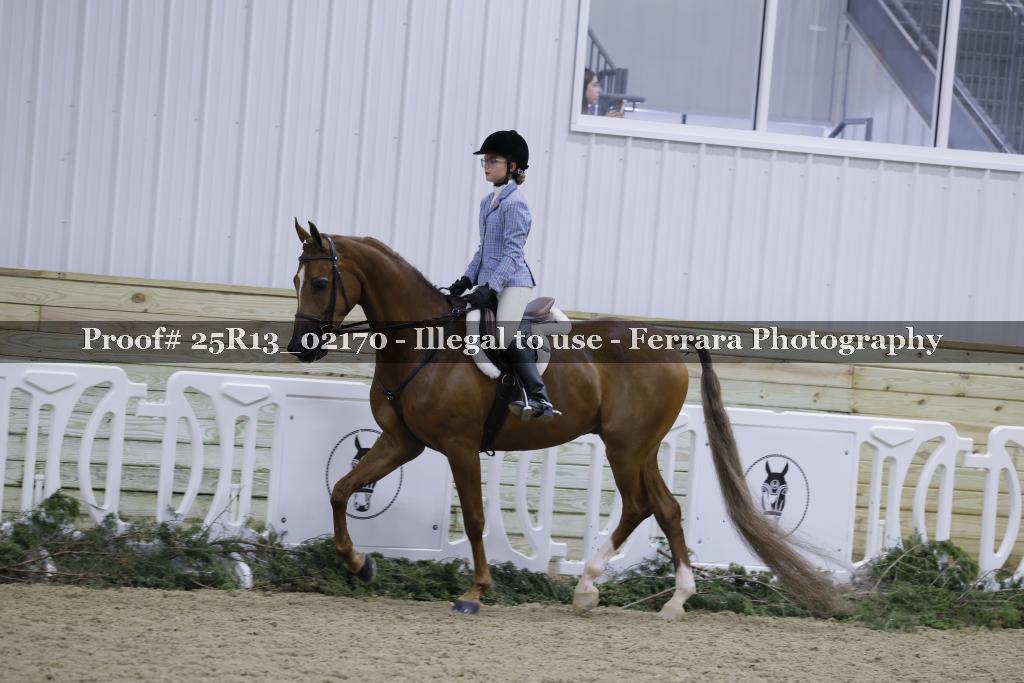 Proof Number 25R13_02170