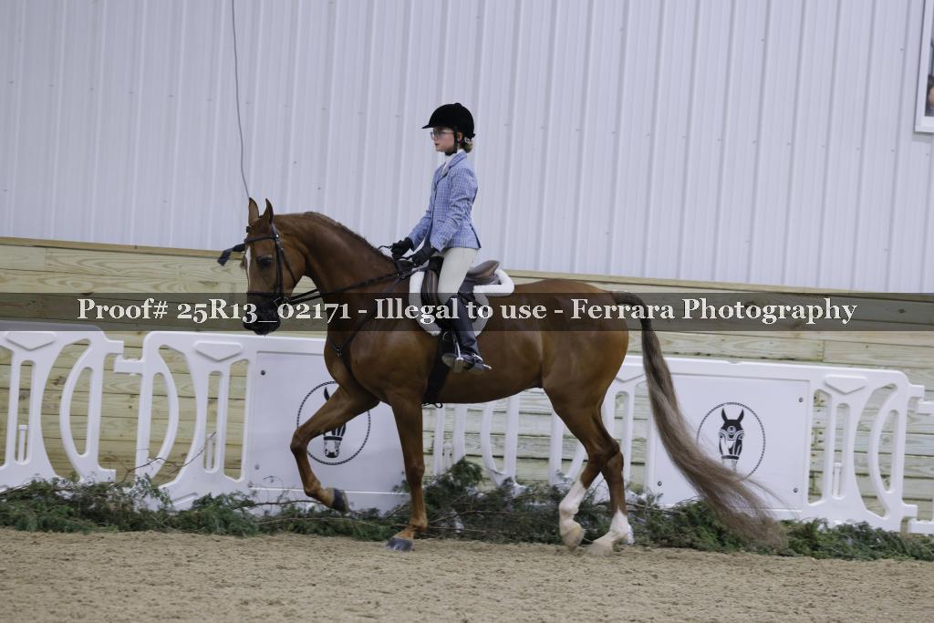 Proof Number 25R13_02171