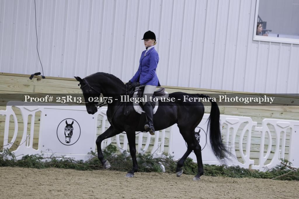 Proof Number 25R13_02175