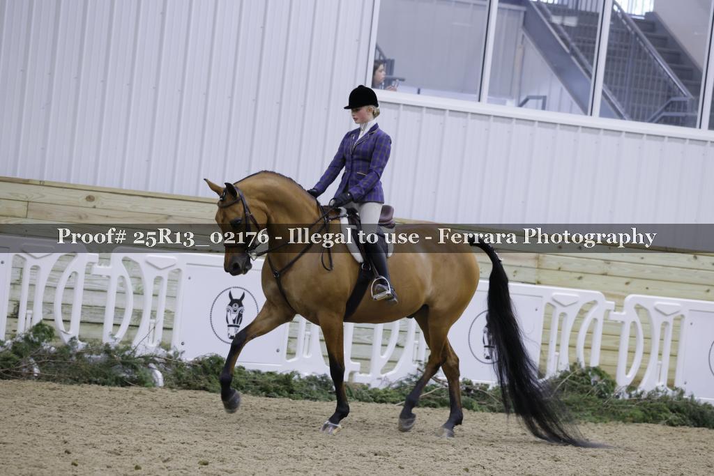 Proof Number 25R13_02176