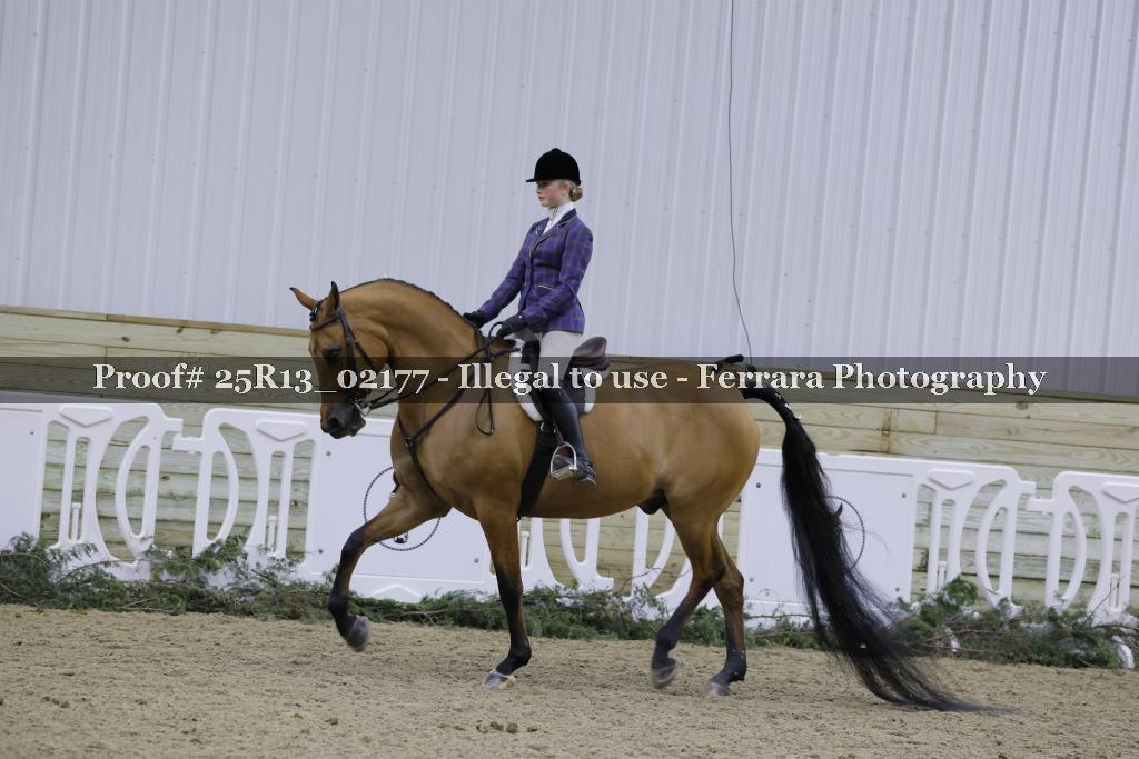 Proof Number 25R13_02177