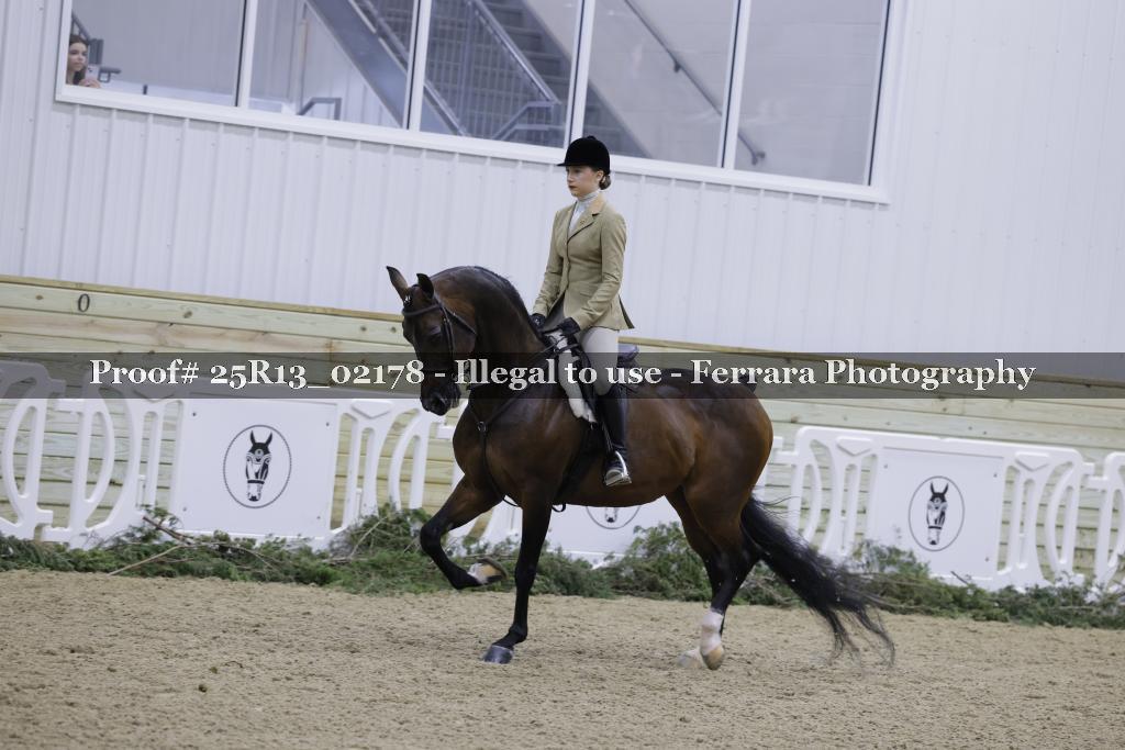 Proof Number 25R13_02178