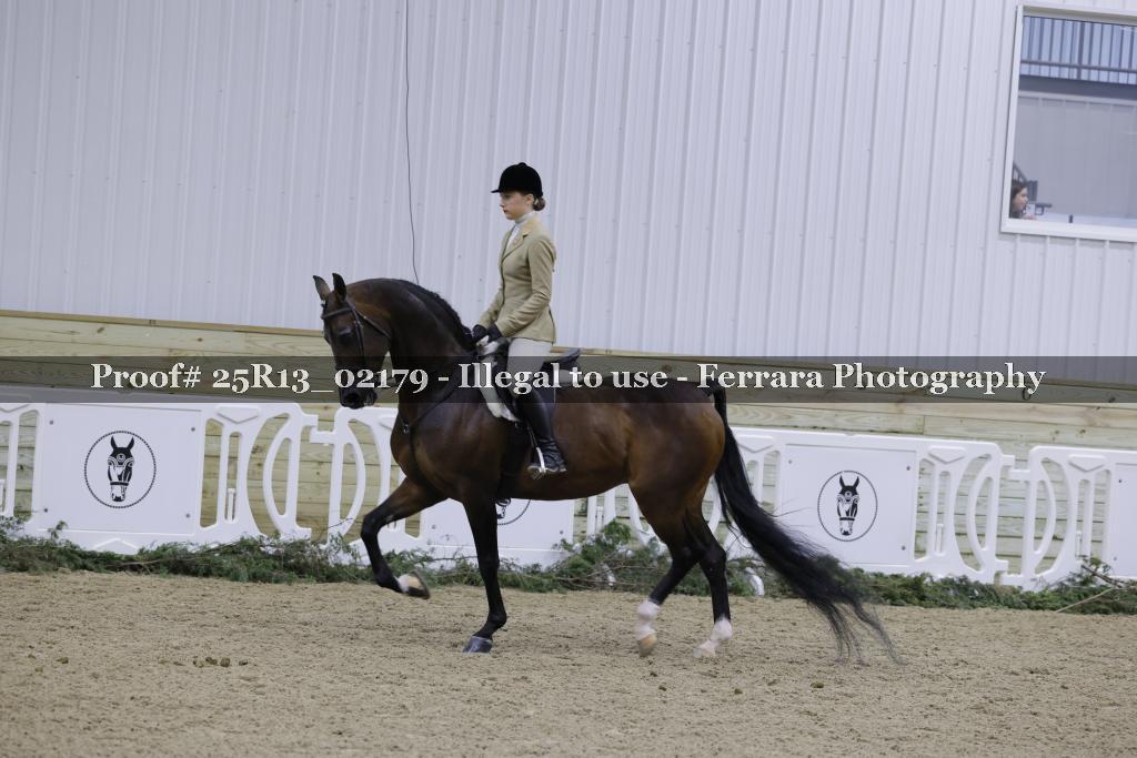Proof Number 25R13_02179
