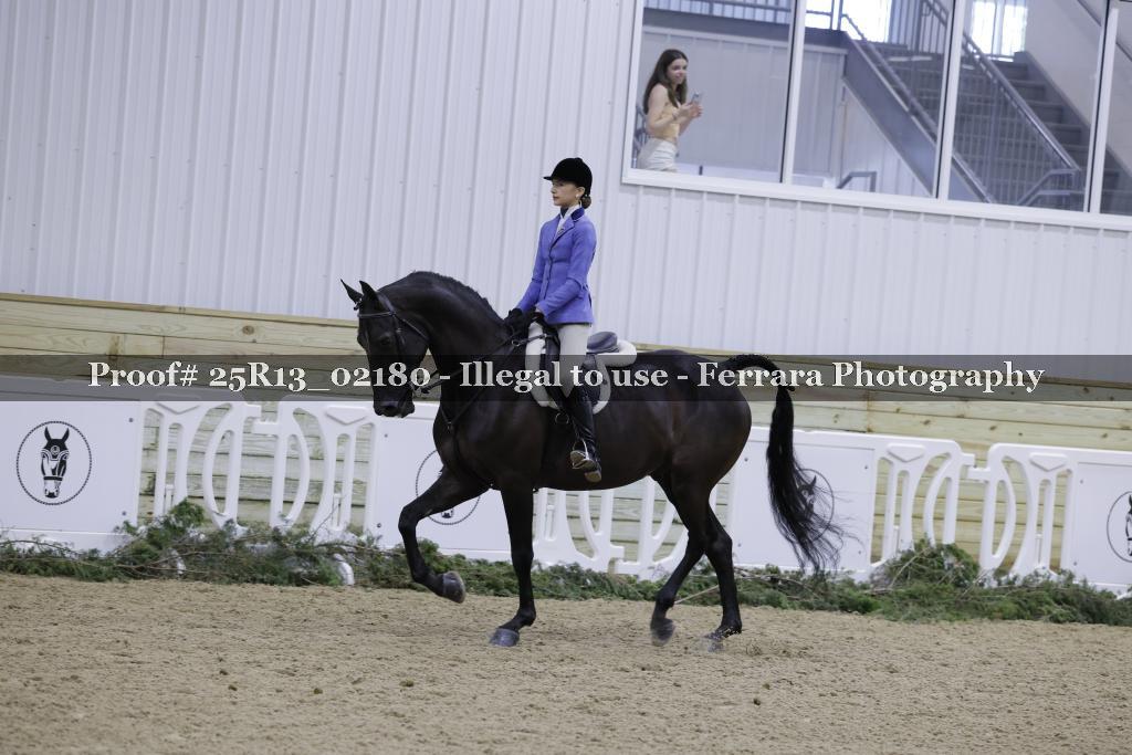 Proof Number 25R13_02180