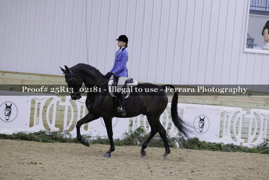 Proof Number 25R13_02181