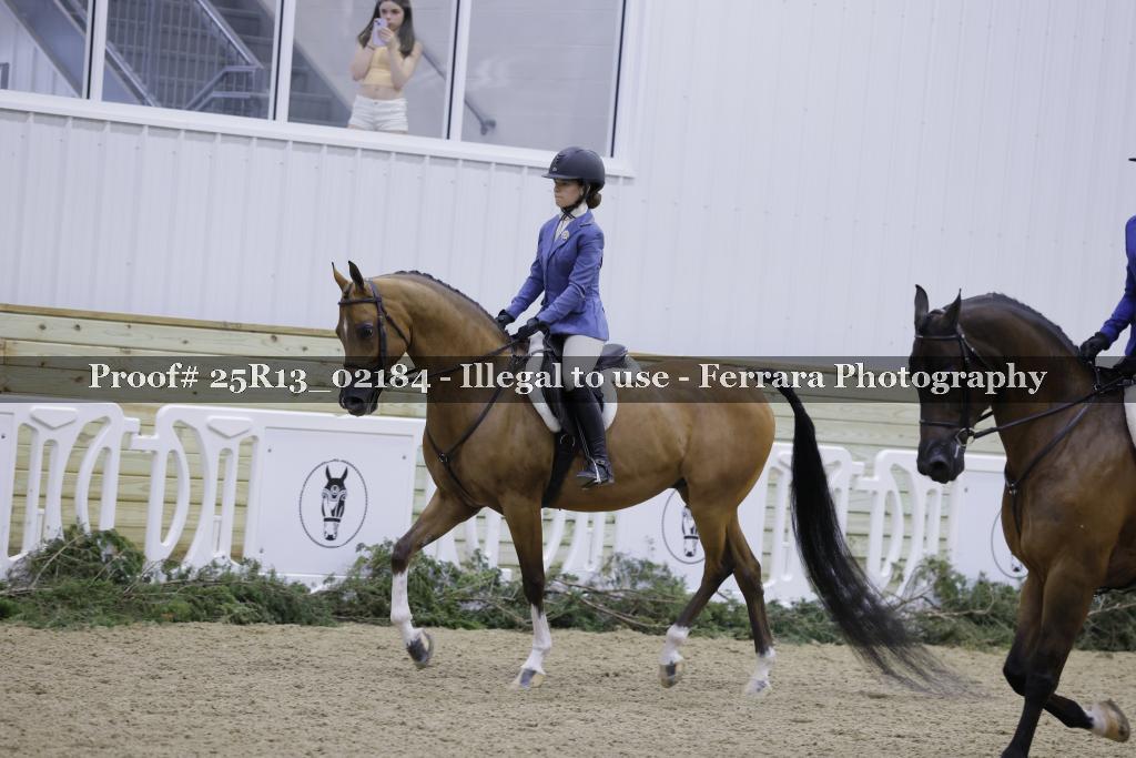 Proof Number 25R13_02184
