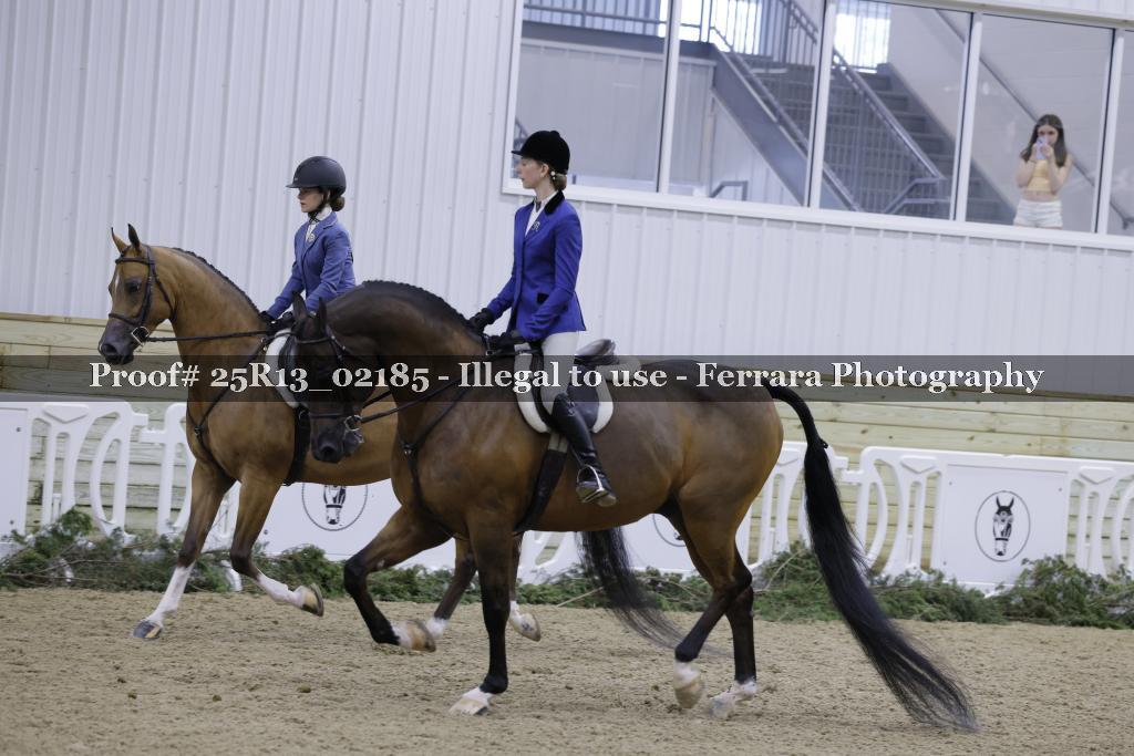 Proof Number 25R13_02185