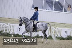 25R13_02186 thumbnail