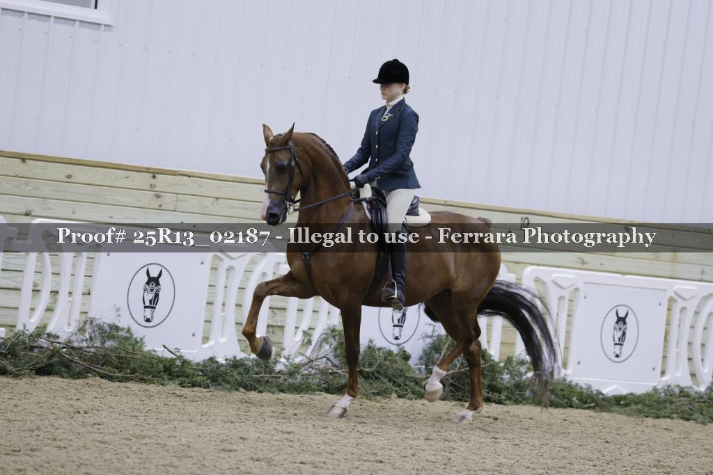 Proof Number 25R13_02187