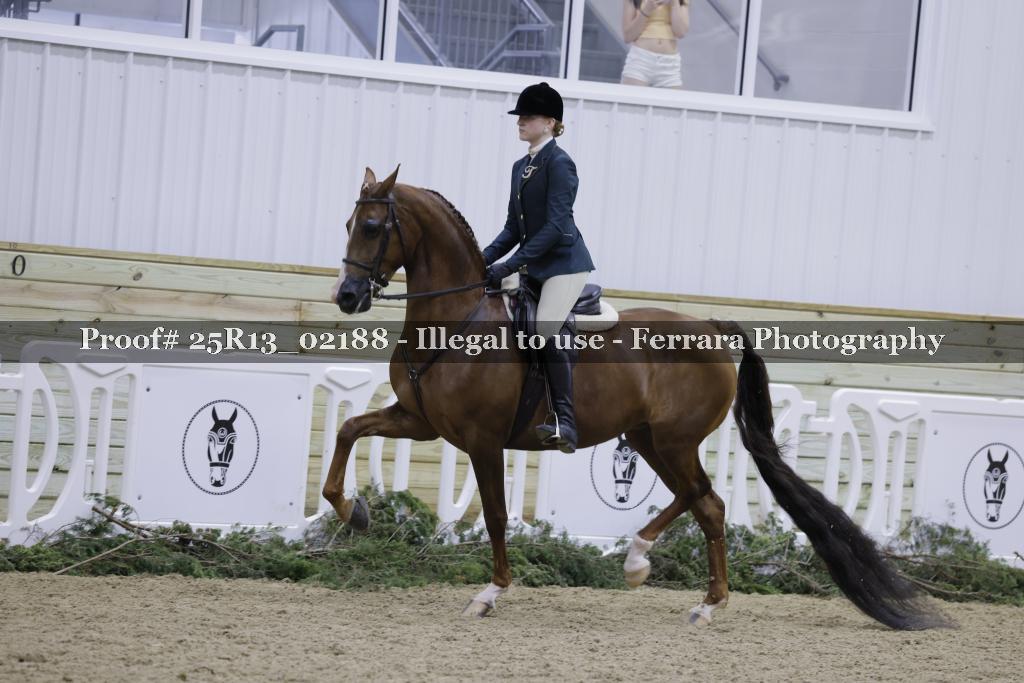 Proof Number 25R13_02188