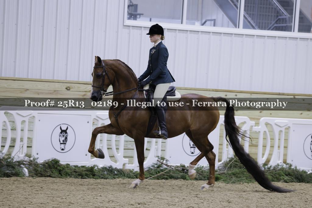 Proof Number 25R13_02189
