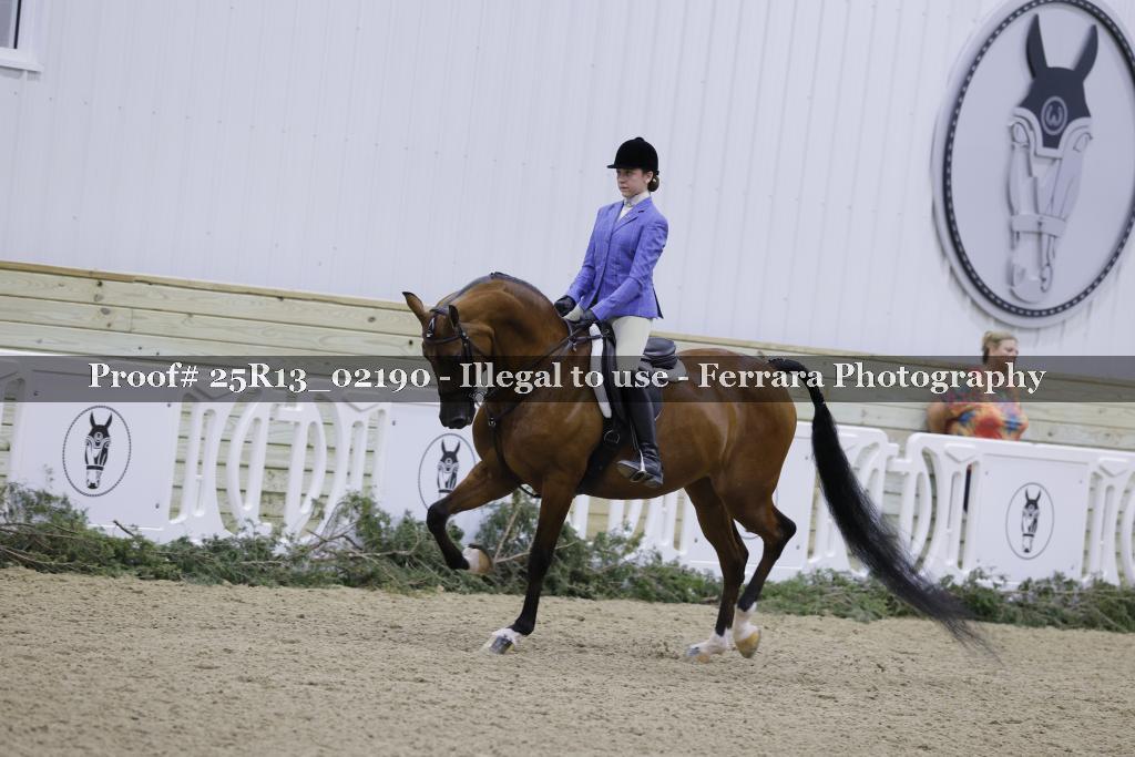 Proof Number 25R13_02190