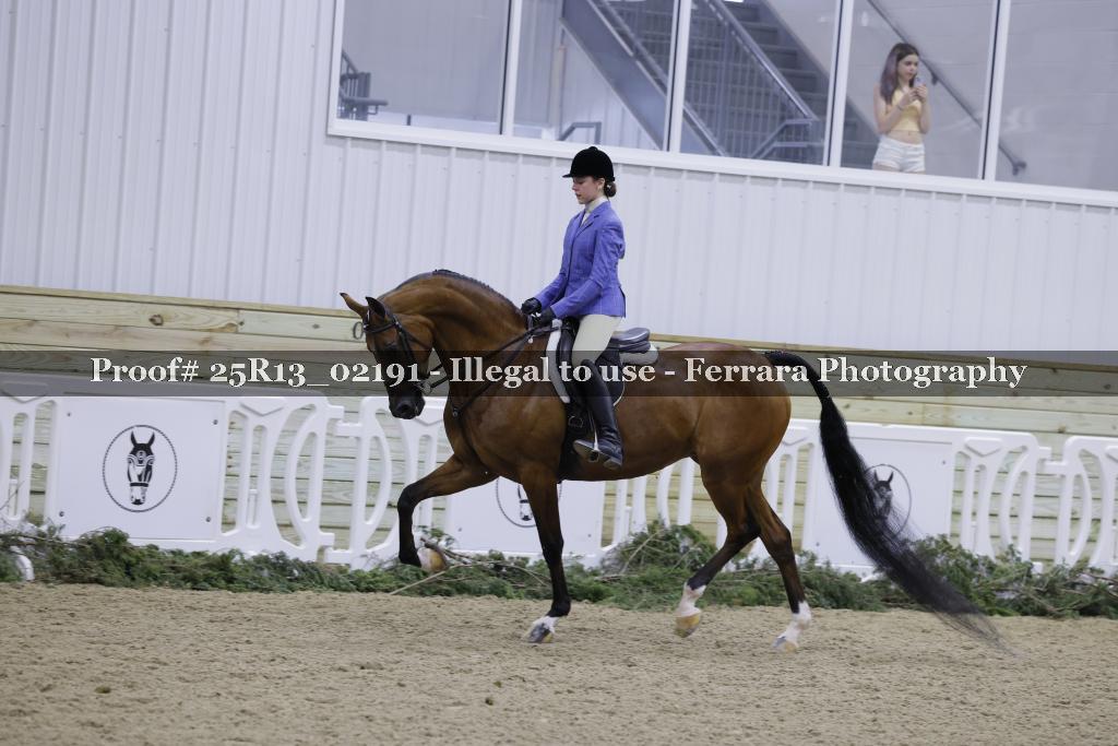 Proof Number 25R13_02191