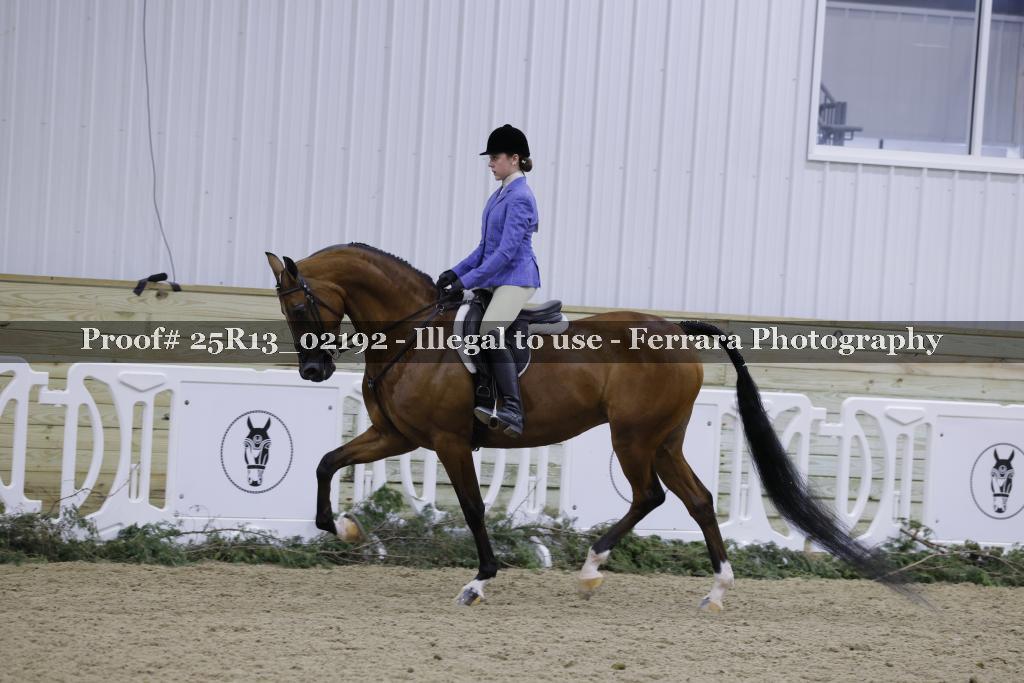 Proof Number 25R13_02192