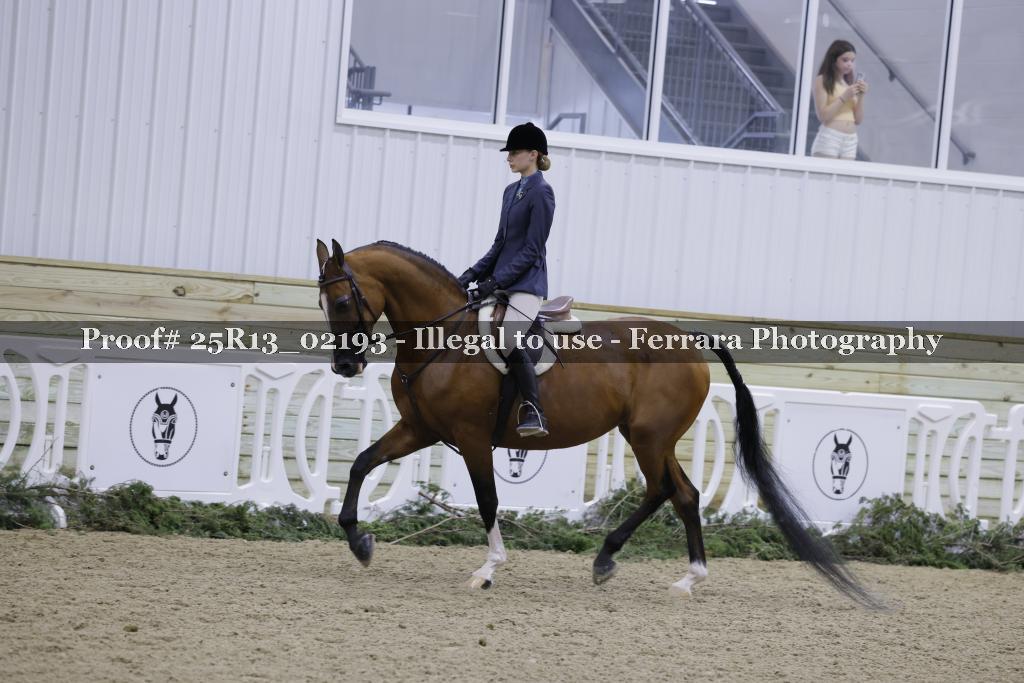 Proof Number 25R13_02193