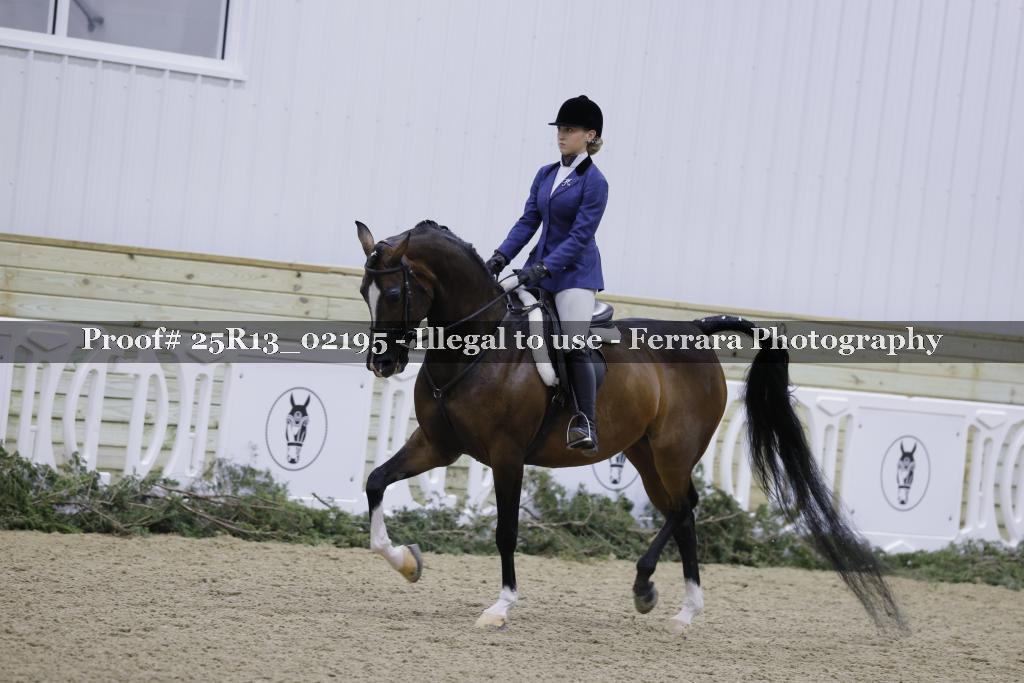 Proof Number 25R13_02195