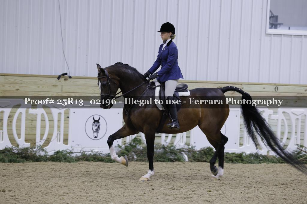 Proof Number 25R13_02196