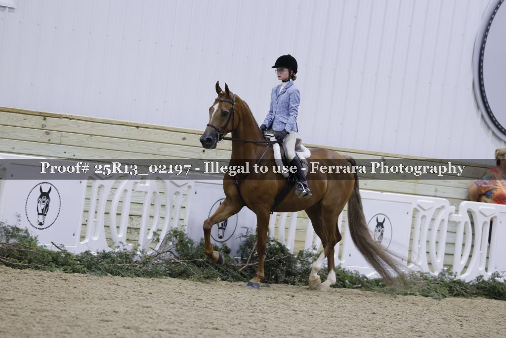 Proof Number 25R13_02197