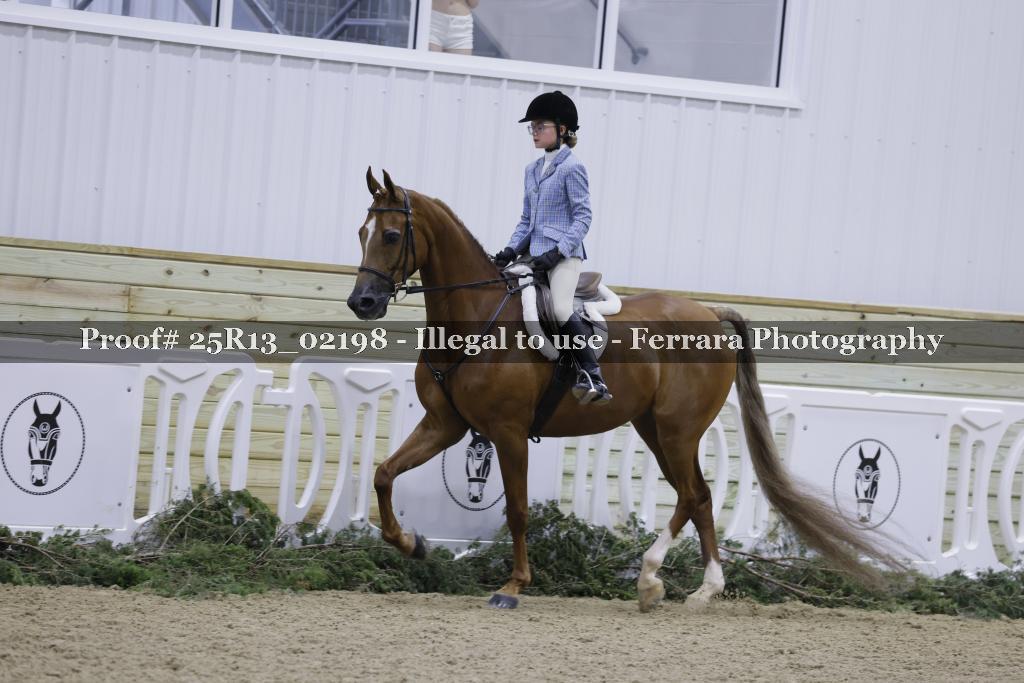 Proof Number 25R13_02198