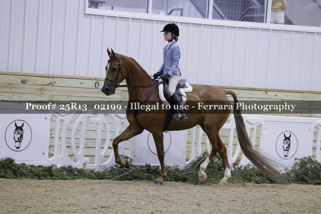 Proof Number 25R13_02199