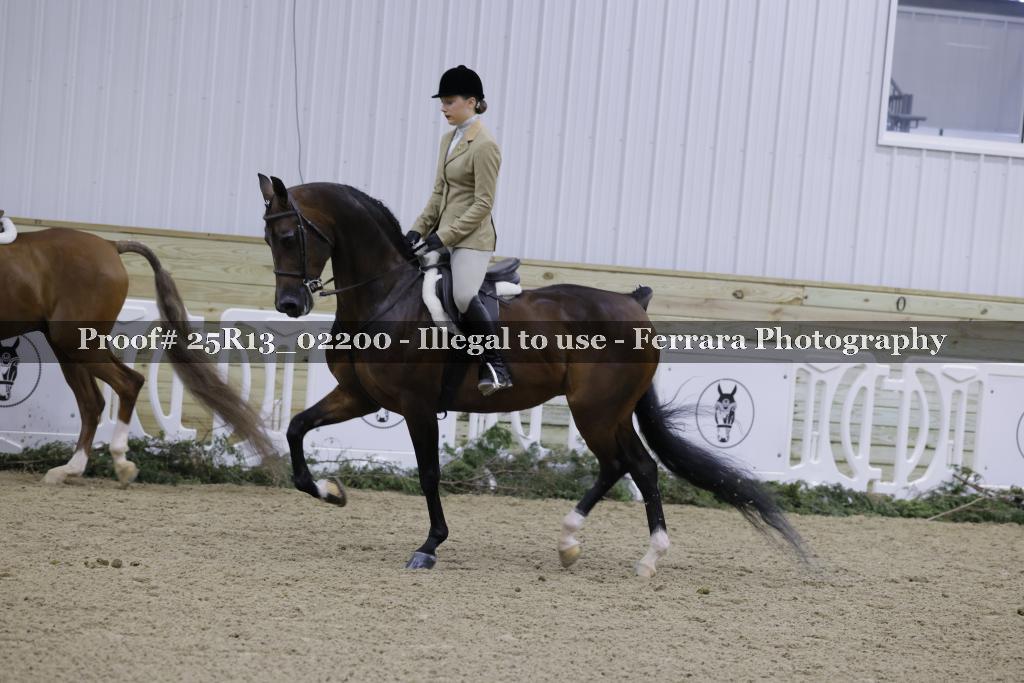Proof Number 25R13_02200