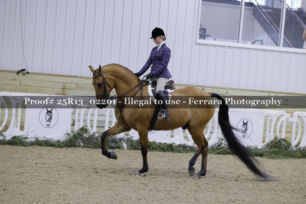 Proof Number 25R13_02201