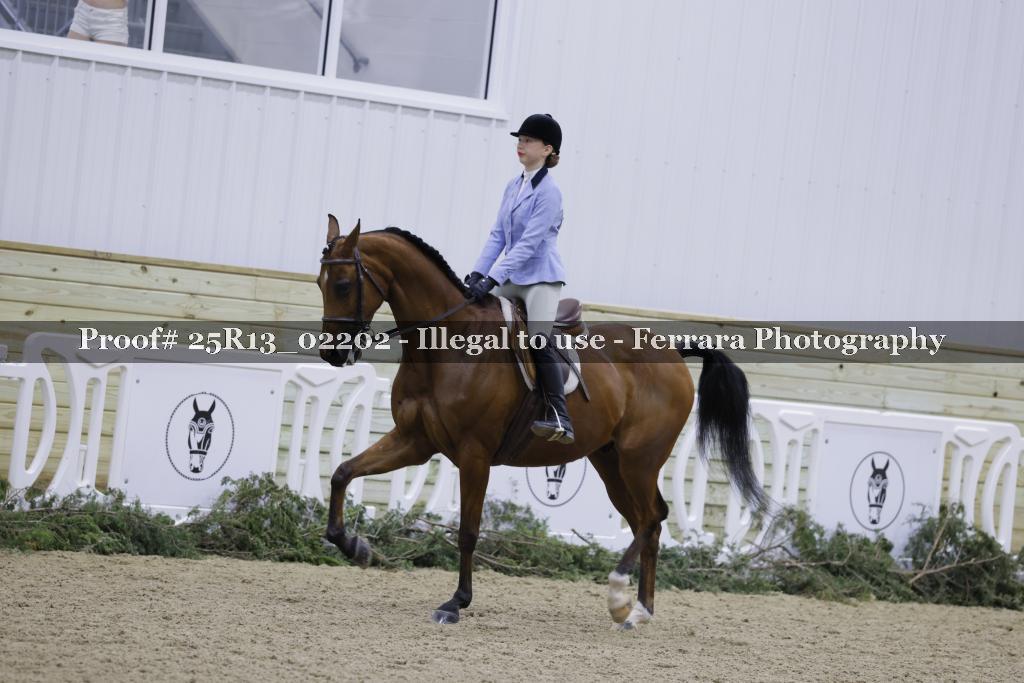 Proof Number 25R13_02202