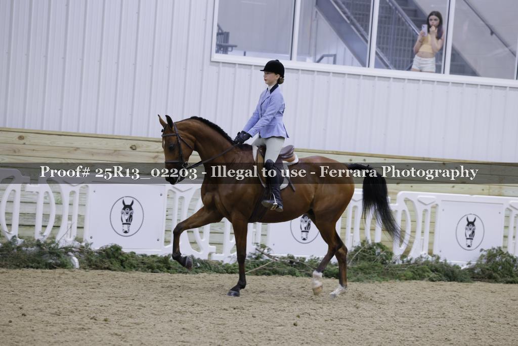 Proof Number 25R13_02203