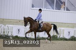25R13_02203 thumbnail