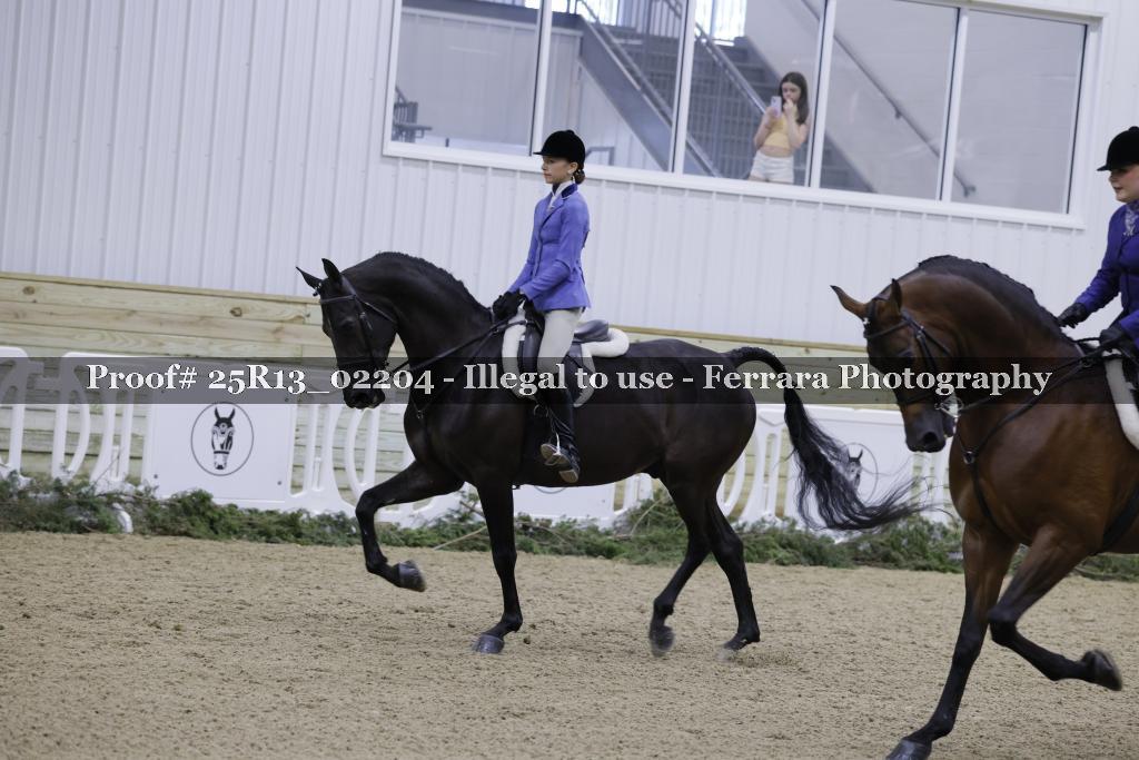 Proof Number 25R13_02204