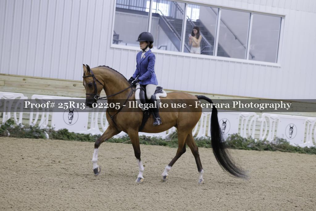 Proof Number 25R13_02205