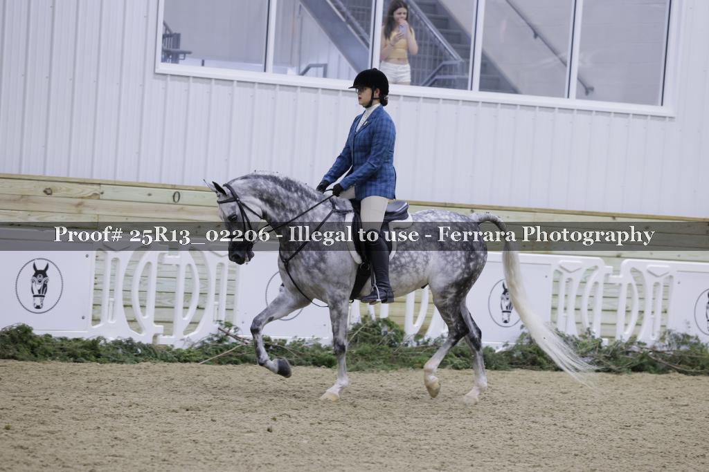 Proof Number 25R13_02206