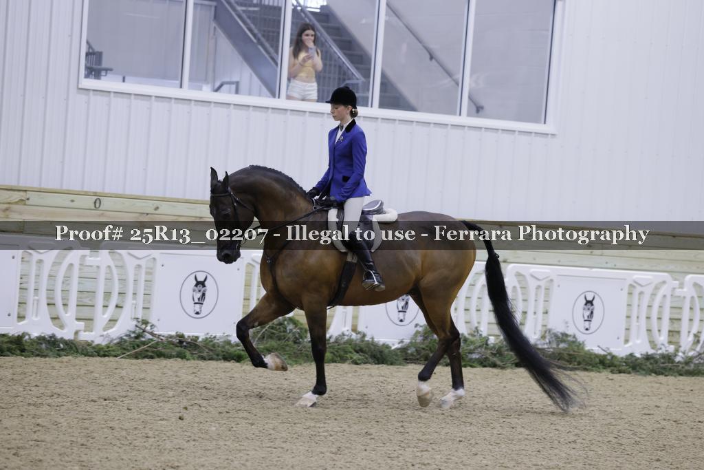 Proof Number 25R13_02207