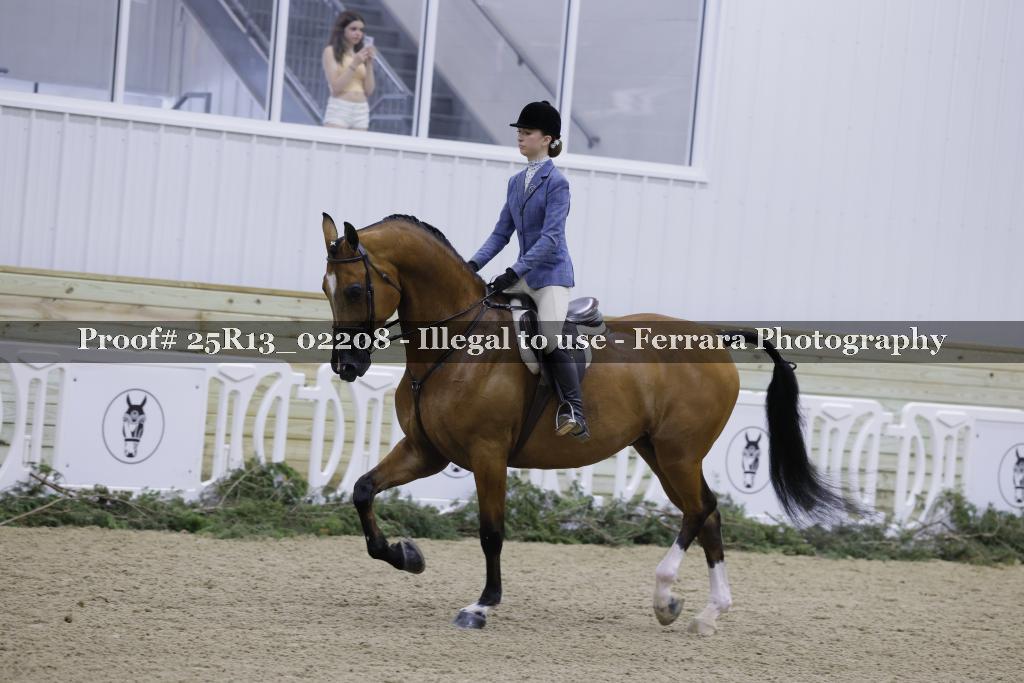 Proof Number 25R13_02208