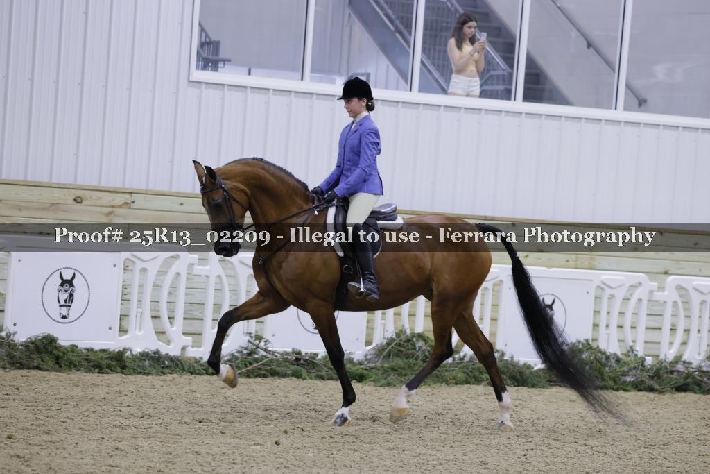 Proof Number 25R13_02209