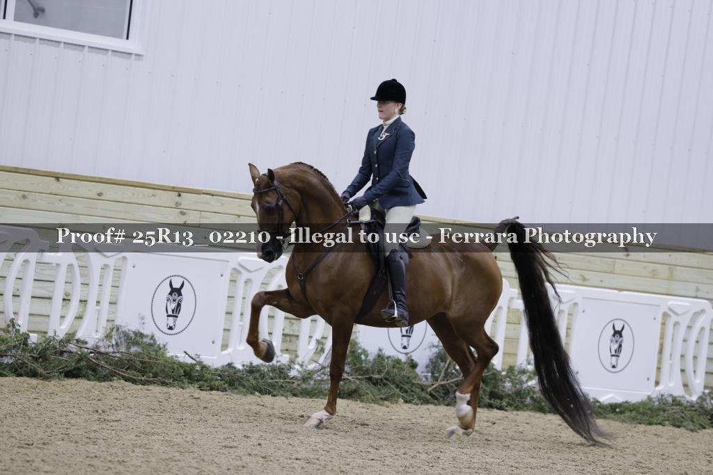 Proof Number 25R13_02210