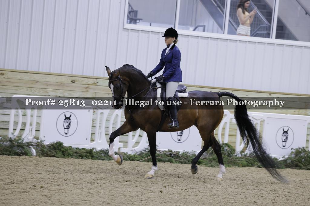 Proof Number 25R13_02211