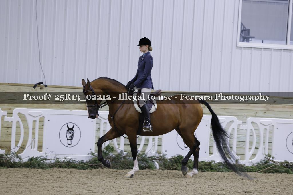 Proof Number 25R13_02212