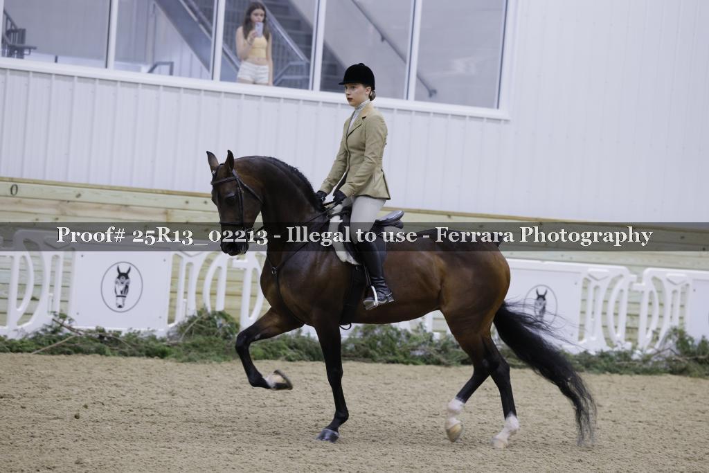 Proof Number 25R13_02213