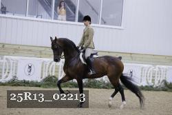 25R13_02213 thumbnail